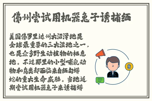 狠狠色丁香五月综合缴情婷婷五月